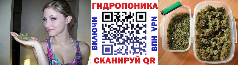 Где найти наркотики Губкин Alpha PVP  МАРИХУАНА  Кокаин  Меф  ГАШ 