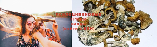спиды Бронницы
