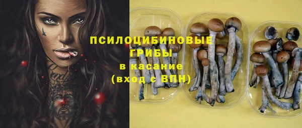 МДМА Верхний Тагил
