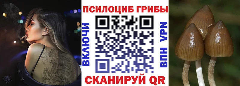 Галлюциногенные грибы Psilocybe  hydra   Губкин  закладка 