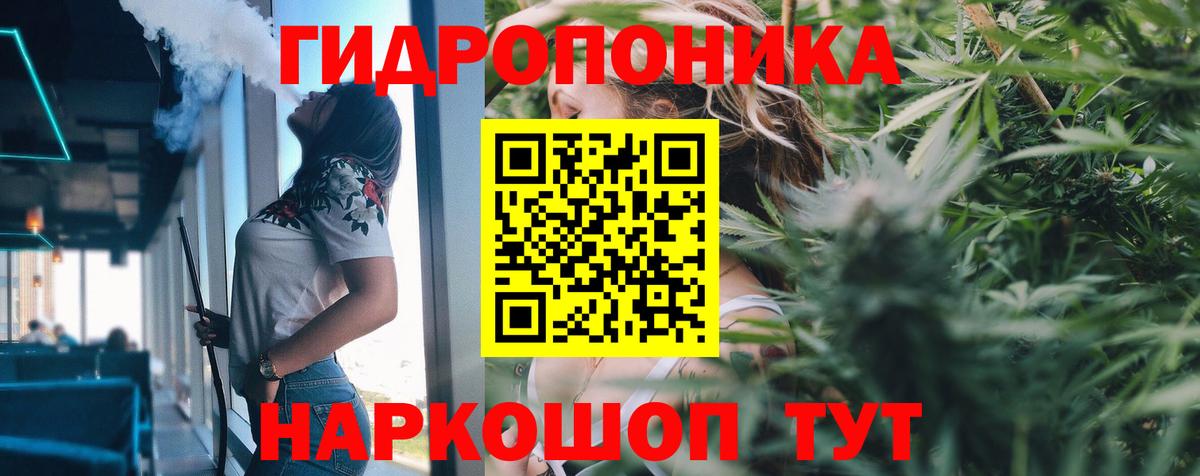 Конопля индика  Конопля марихуана  Марихуана сатива  Губкин 