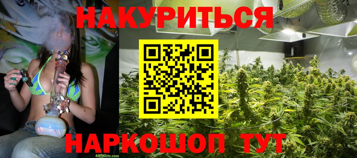 Бошки Шишки Amnesia Губкин